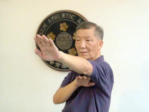 Grandmaster Ip Ching, Wing Chun lineage